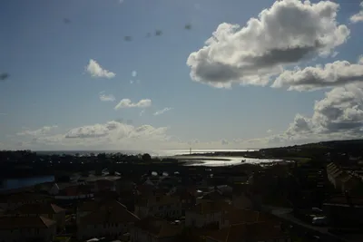 DSC_7249 (Large).JPG